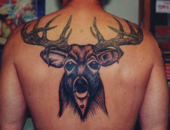  laser embossed deer deer coasters deer bumper stickers deer tattoos 