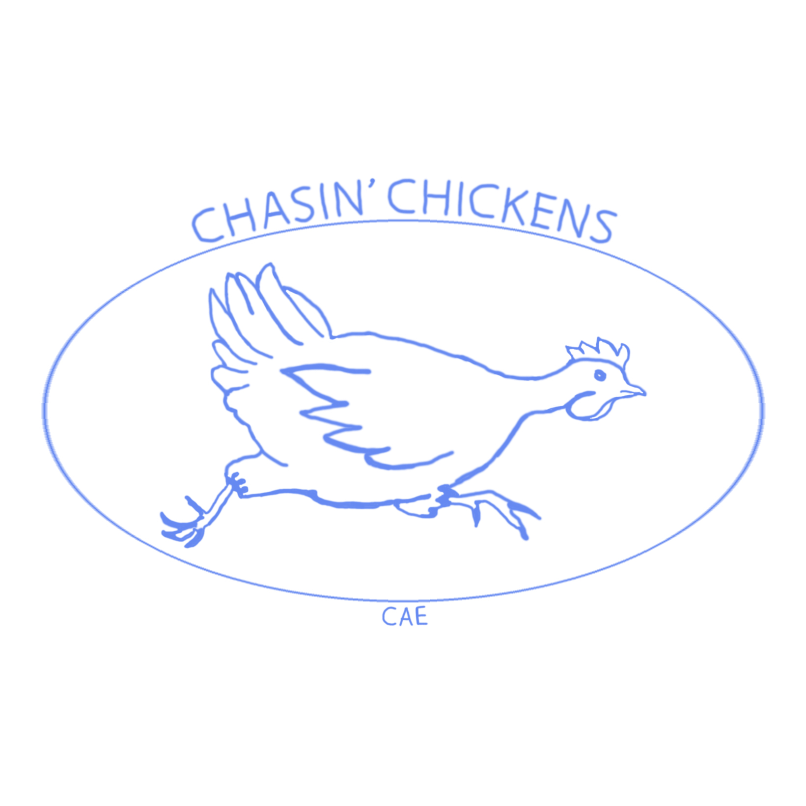 Chasin Chickens demo track by CAE