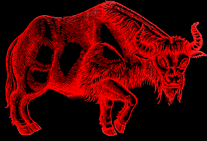 Taurus