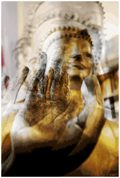 Buddha Hand-o-rama