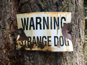 "STRANGE DOG" warning sign